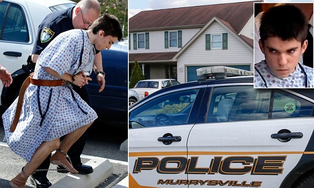 Siswa SMA di Amerika `Kesetanan` Tusuk 22 Rekannya